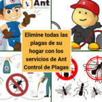 Cómo hacer reparaciones en suelos de albañilería dañados por insectos o roedores